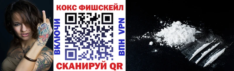 Cocaine FishScale  Купить где  Козьмодемьянск 