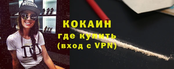 стаф Дмитровск