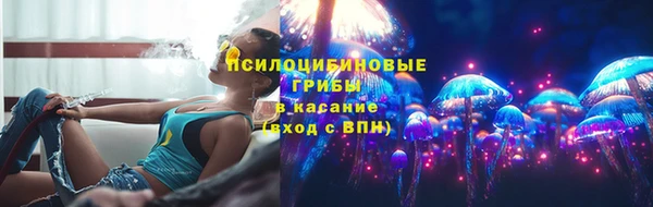дурь Дмитров
