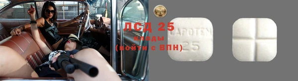 стаф Дмитровск