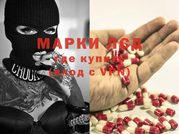 стаф Дмитровск