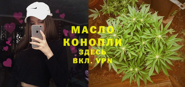 стаф Дмитровск