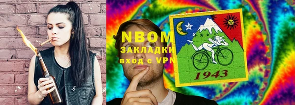 стаф Дмитровск